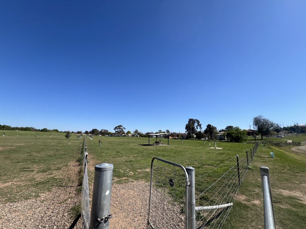 Ruff Ruff Reviews - George Street Dog Park, West Tamworth, New South Wales - Park views