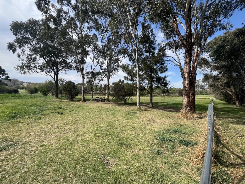 Ruff Ruff Reviews - Eastern Creekland Dog Park, Armidale, New South Wales - park views