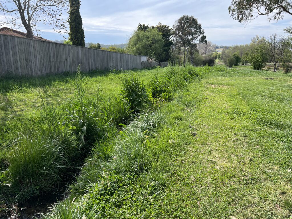 Ruff Ruff Reviews - Eastern Creekland Dog Park, Armidale, New South Wales - creek