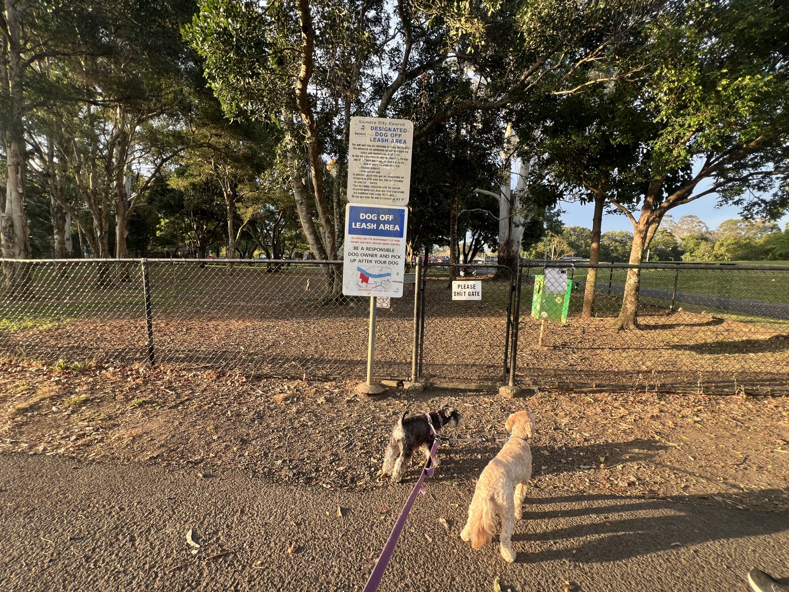 Ruff Ruff Reviews - Victoria Street Dog Park, Lismore - Ralph and Luna at park entrance