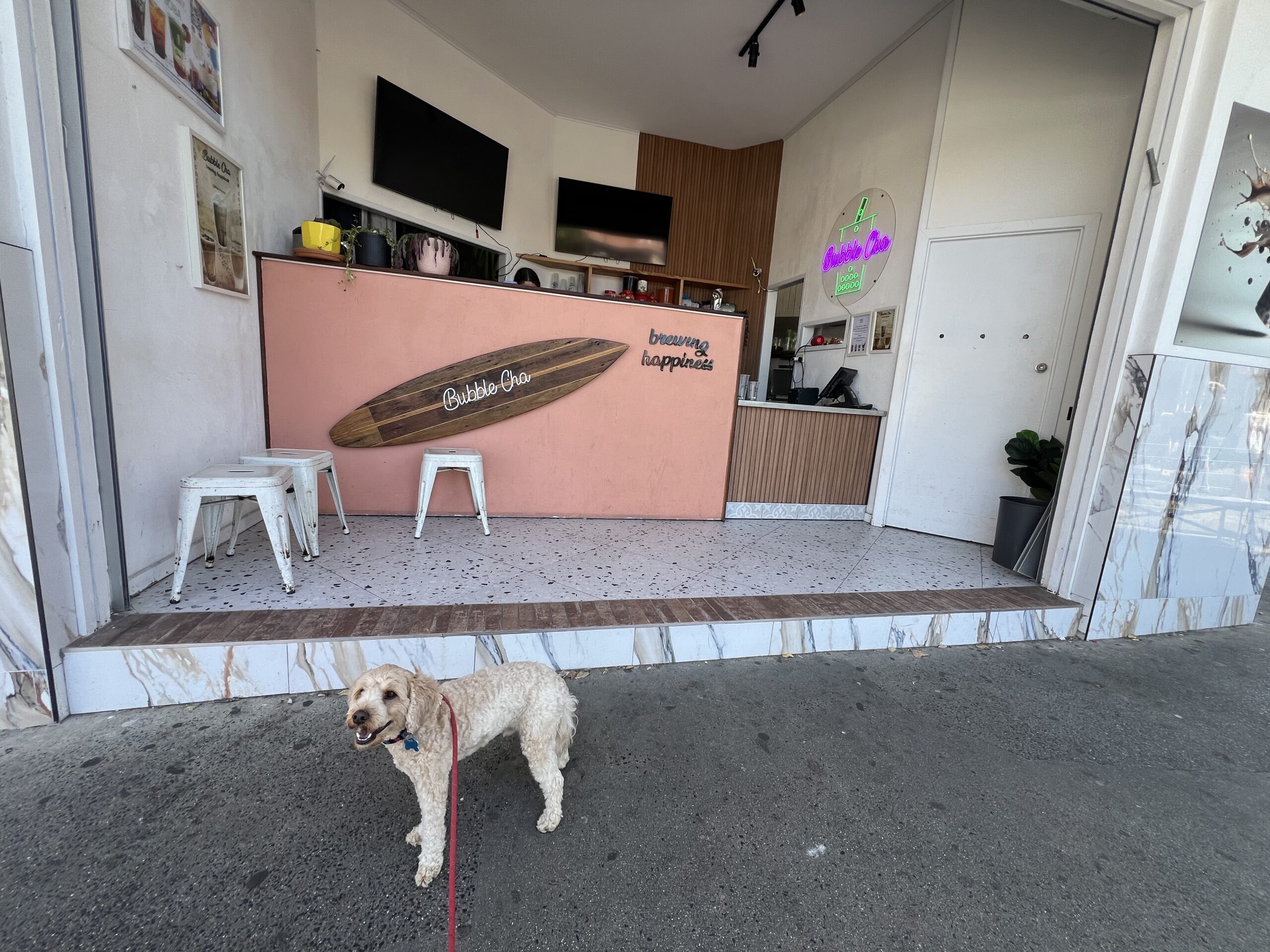 Ruff Ruff Reviews - Bubble Cha, Byron Bay, New South Wales - Ralph at front of shop