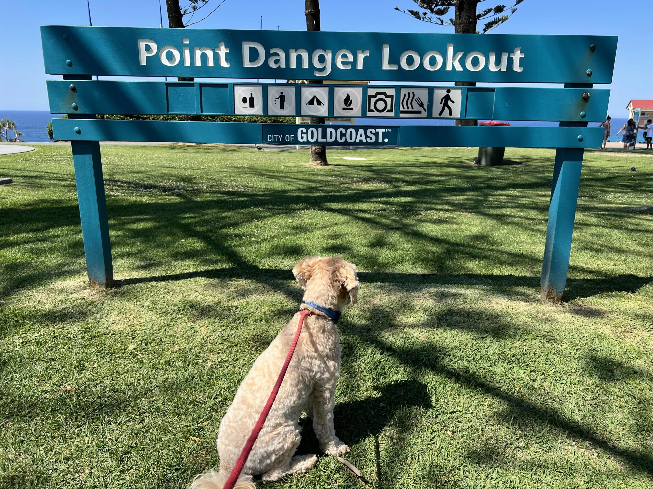 Ruff Ruff Reviews - Point Danger Lookout, Coolangatta, Queensland - Ralph at Point Danger Lookout