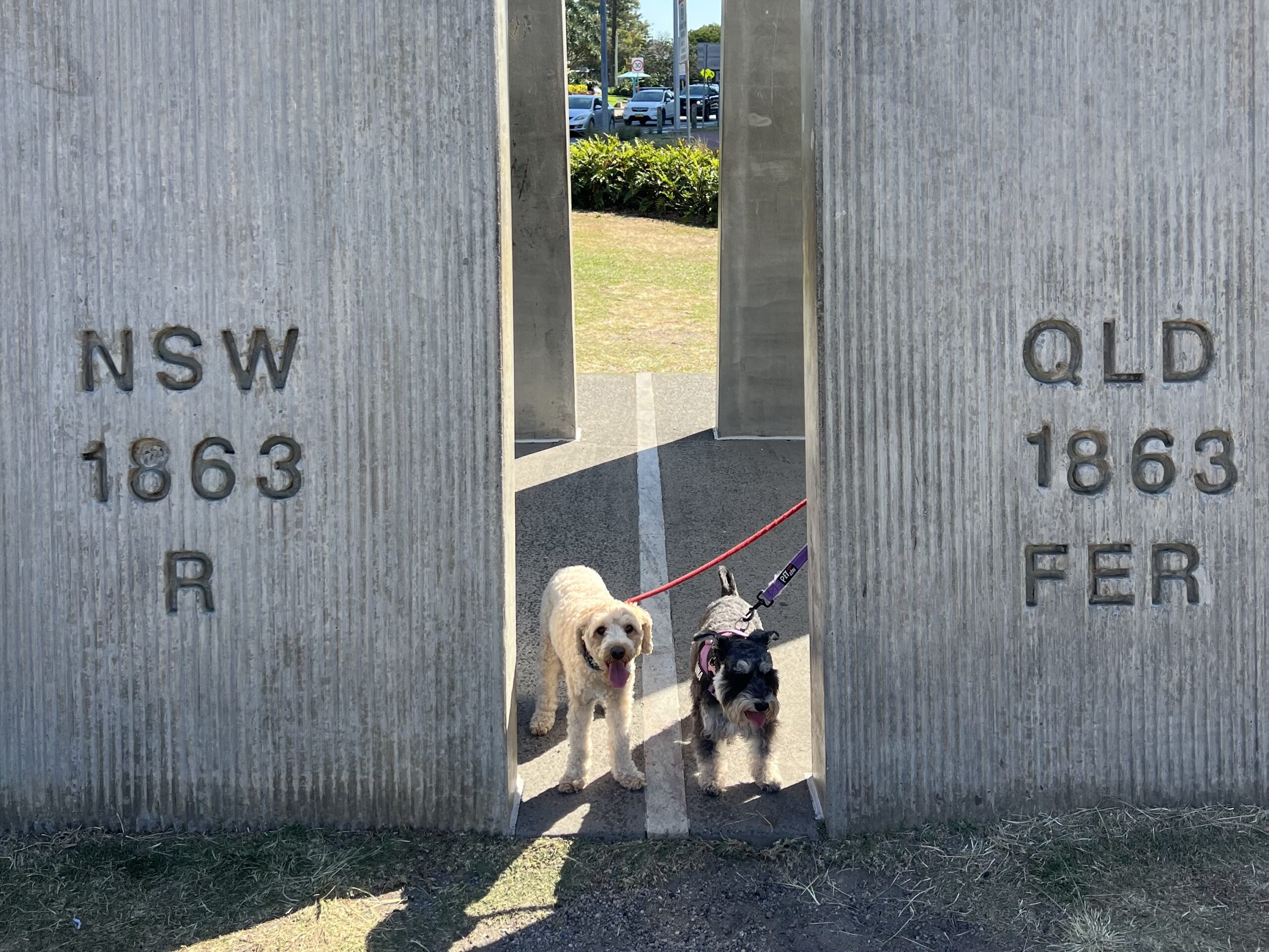 Ruff Ruff Reviews - Queensland - New South Wales Border - Ralph and Luna